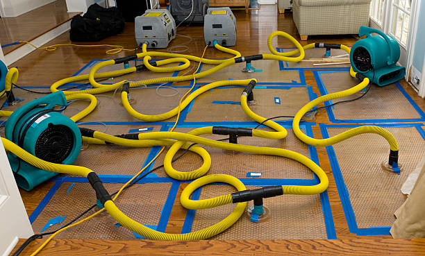 Professional Burst Pipe Water Damage technician working in Shutesbury, MA